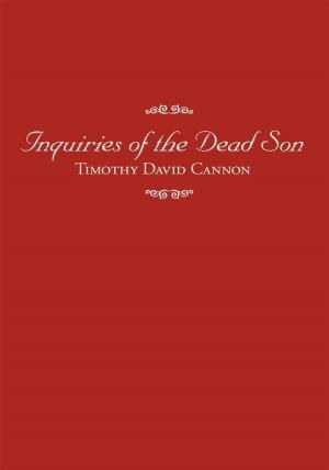 Cover of the book Inquiries of the Dead Son by Corey Mesler