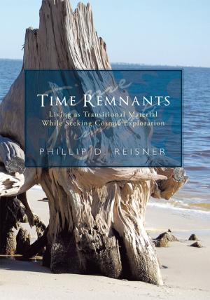 Book cover of Time Remnants