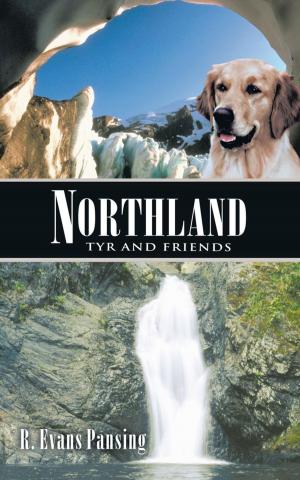 Cover of the book Northland by Chance Hansen