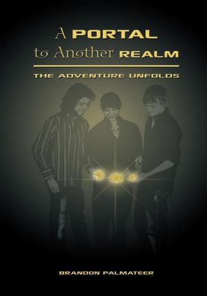 Cover of the book A Portal to Another Realm by Holly Black, Cassandra Clare