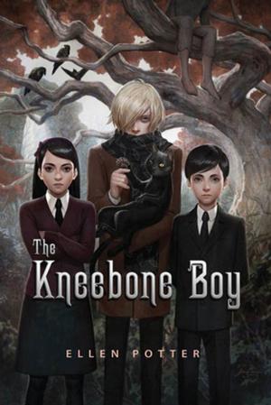Book cover of The Kneebone Boy