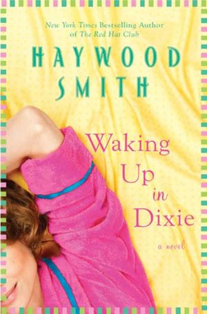 Book cover of Waking Up in Dixie