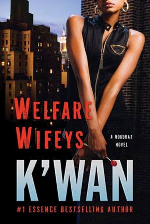 Cover of the book Welfare Wifeys by Eric Dezenhall