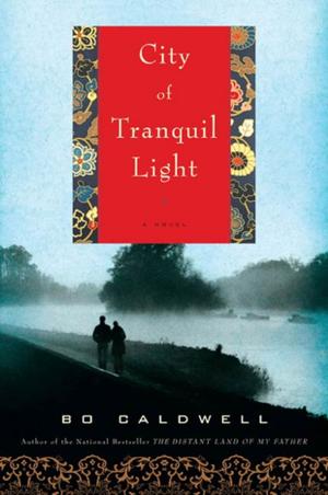 Cover of the book City of Tranquil Light by Michael Frayn