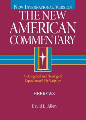 Cover of the book Hebrews by David R. Veerman, Betsy Schmitt