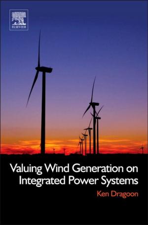 Cover of the book Valuing Wind Generation on Integrated Power Systems by Walter Goralski