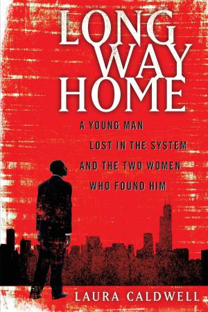 Book cover of Long Way Home