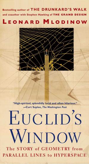 Book cover of Euclid's Window