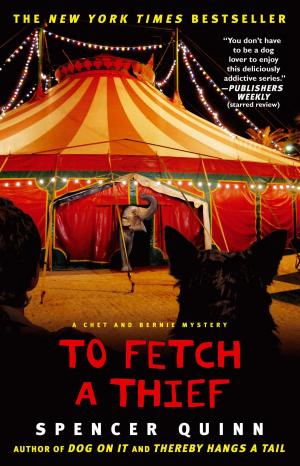 Book cover of To Fetch a Thief