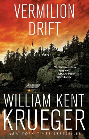 Cover of the book Vermilion Drift by Brian Frazer