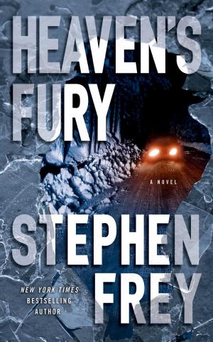 Cover of the book Heaven's Fury by Scott McEwen, Thomas Koloniar