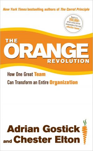 Cover of the book The Orange Revolution by Aravind Adiga