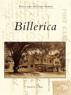 Cover of the book Billerica by David A. Berry