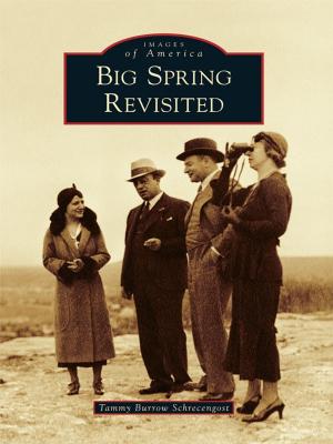 Cover of the book Big Spring Revisited by Mary D. French, Elsie L. Whiting