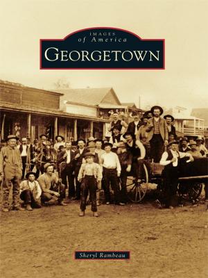 Cover of the book Georgetown by Tim Hollis