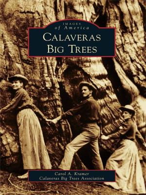Cover of the book Calaveras Big Trees by Frank Decker, Lois Rosebrooks