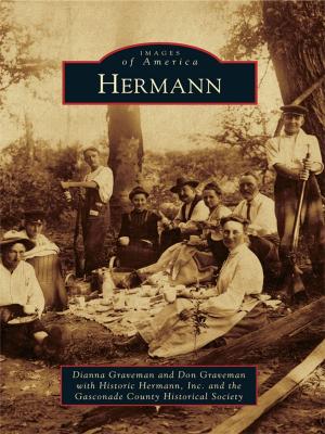 Cover of the book Hermann by Theodore Corbett