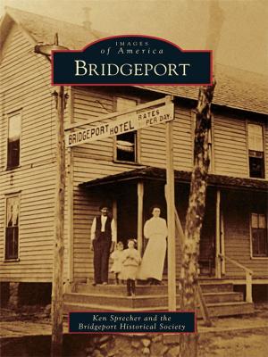 Cover of the book Bridgeport by Page Putnam Miller