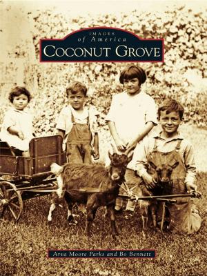 Cover of the book Coconut Grove by Joyce Bailey Anderson