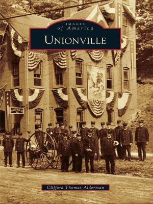 Cover of the book Unionville by Andy Peter Antippas