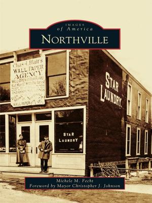 Cover of the book Northville by W. Dennis Keating