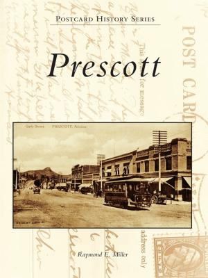 Cover of the book Prescott by Eileen Hallet Stone
