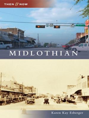 Cover of the book Midlothian by Tim Hollis