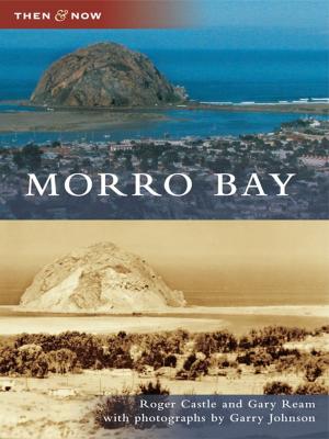 Cover of the book Morro Bay by Margaret Middleton Rivers Eastman