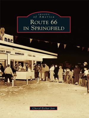 Cover of the book Route 66 in Springfield by John C. Schubert