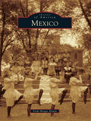 Cover of the book Mexico by Matthew Hansen, James McKee, Edward Zimmer