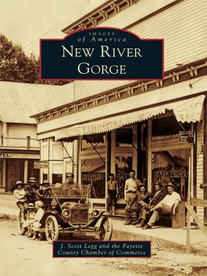 Cover of the book New River Gorge by Joseph Y. DeSpain, John R. Burch Jr., Timothy Q. Hooper