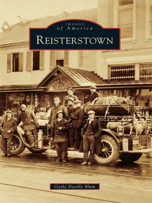 Cover of the book Reisterstown by Maureen Smith Keillor, AMEC (AW/SW) Richard P. Keillor MTS