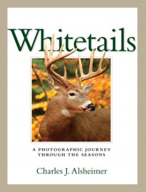 Cover of the book Whitetails by Paula Munier
