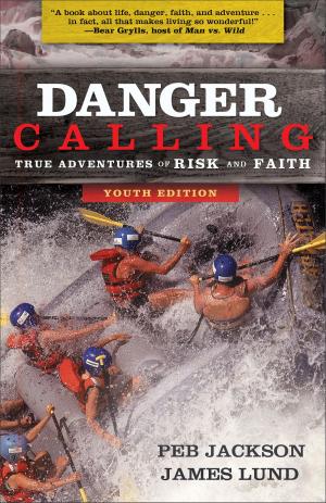 bigCover of the book Danger Calling by 