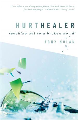 Cover of the book Hurt Healer by Melody Carlson