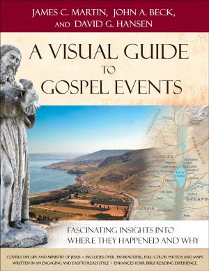 Book cover of A Visual Guide to Gospel Events