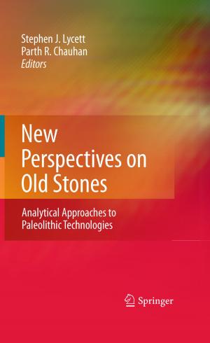 Cover of the book New Perspectives on Old Stones by Xavier Palazzi, Nicole Bordier