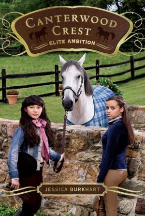 Cover of the book Elite Ambition by Carolyn Keene