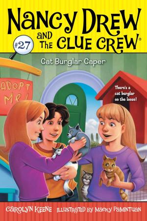 Book cover of Cat Burglar Caper