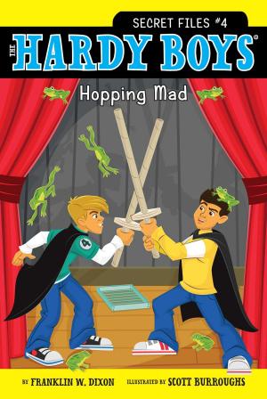 Cover of the book Hopping Mad by Stephanie Calmenson