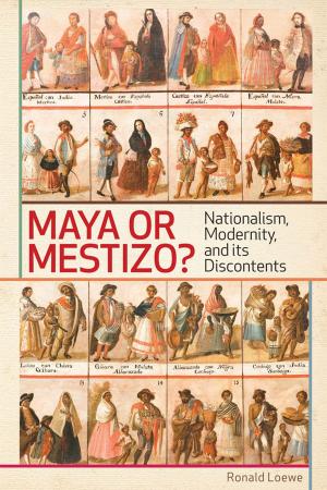 Cover of the book Maya or Mestizo? by Richard Driscoll, Ph.D.