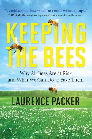 Cover of the book Keeping The Bees by Abbey Curran, Elizabeth Kaye