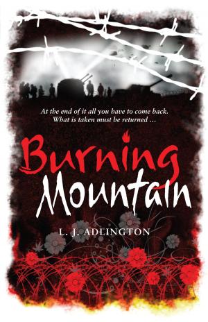 Cover of the book The Burning Mountain by Pippa Funnell
