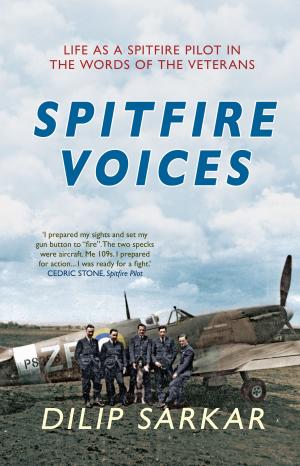 Cover of the book Spitfire Voices by Robert King