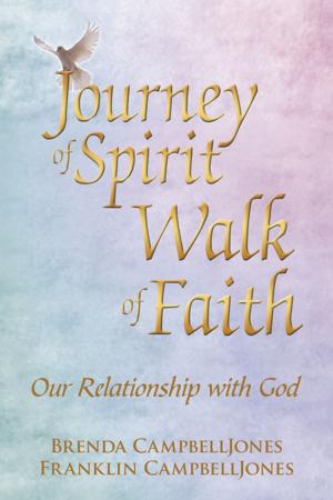 Cover of the book Journey of Spirit Walk of Faith by Dr. Robert J. Pellegrini
