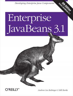 Book cover of Enterprise JavaBeans 3.1