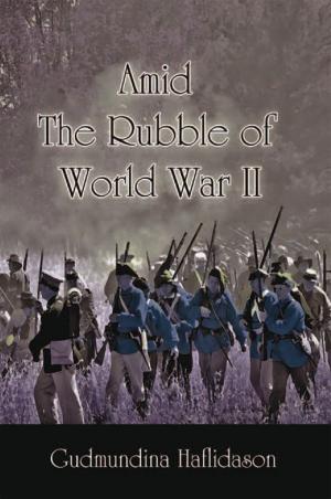 Cover of the book Amid the Rubble of World War Ii by Garry A. Johnson