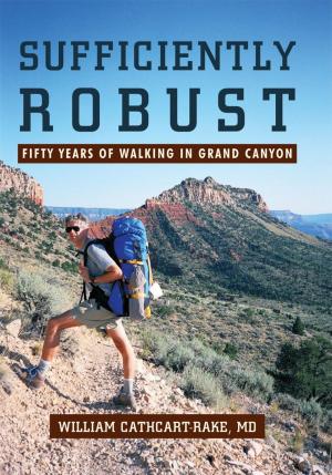 Cover of the book Sufficiently Robust by Allison Daniels
