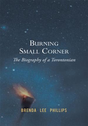 Book cover of Burning Small Corner