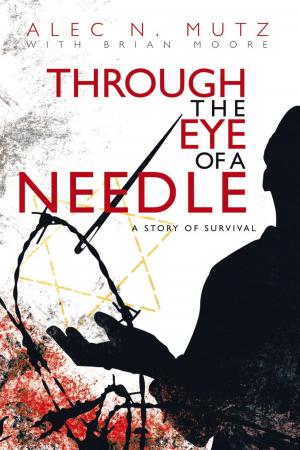 Cover of the book Through the Eye of a Needle by Alan H. Friedman